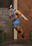 Prolectables - Street Fighter – T. Hawk 6″ Deluxe Action Figure